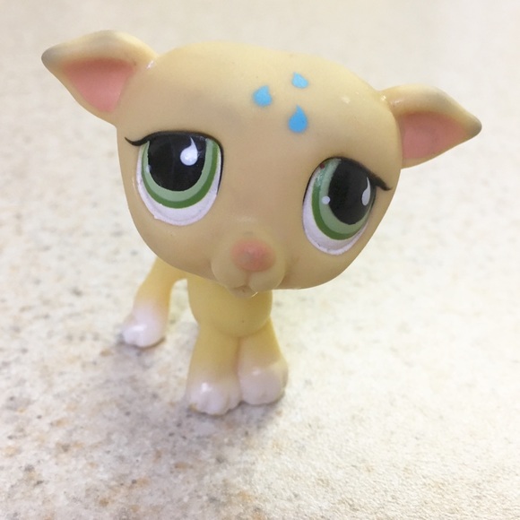 lps dogs rare